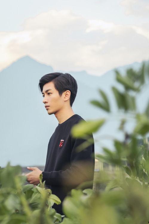 娱乐圈工作人员爆料陈晓,娱乐圈工作人员揭秘真相